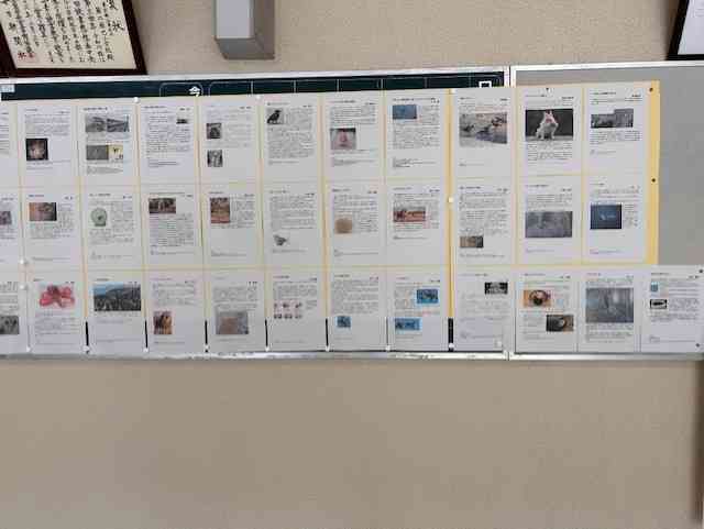 02thumbnail_IMG_7548