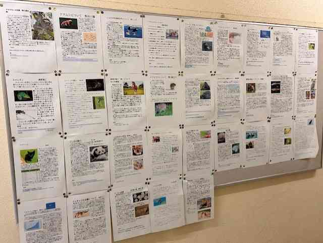 04thumbnail_IMG_7572