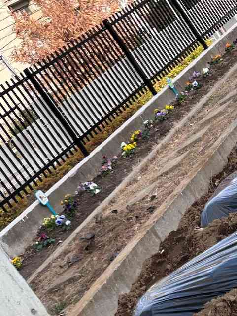 05de98ec-9534-48c3-8ae8-0f433b3c43e9