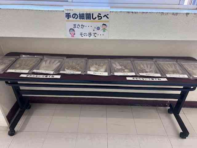 04b5f5b8ba-88f5-438c-8b8f-4c1ca32fb47e