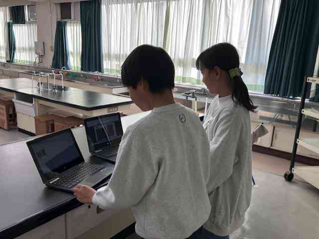 fc312378-1782-4313-aae4-b9c92d94c979