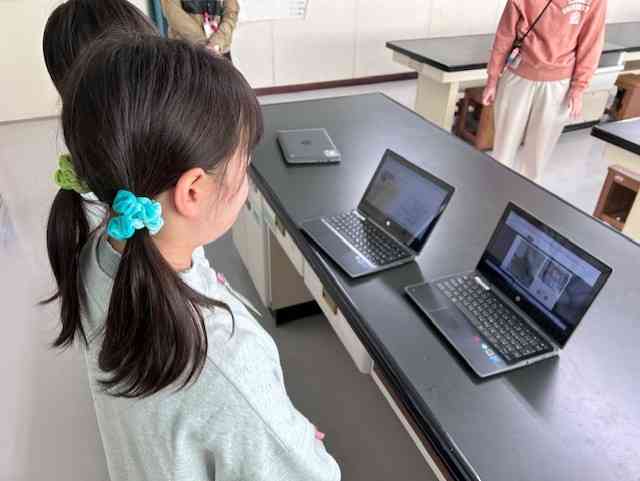 bc0c93b6-766e-4ab5-8333-3b219fb64d8d