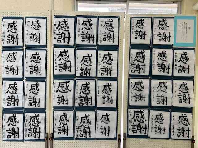 02c-4309-bf64-28f2553fdc20