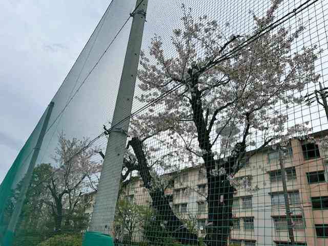 2d600d58-7c0a-45d7-a00e-e5f7a82d45a6