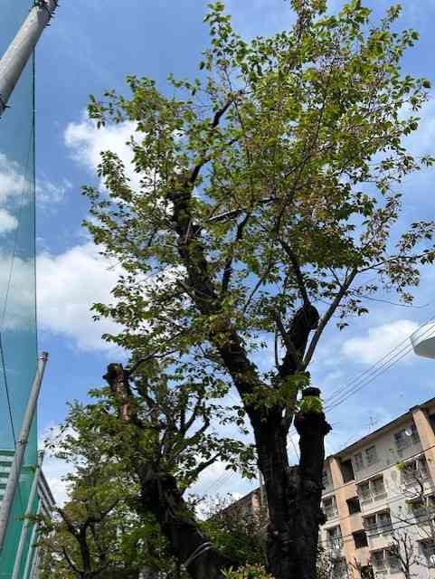 c95d52ec-445b-4726-acf4-58d8b59df955