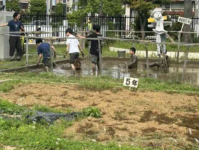05ae764-0fd1-4853-b21a-46b436a161f9