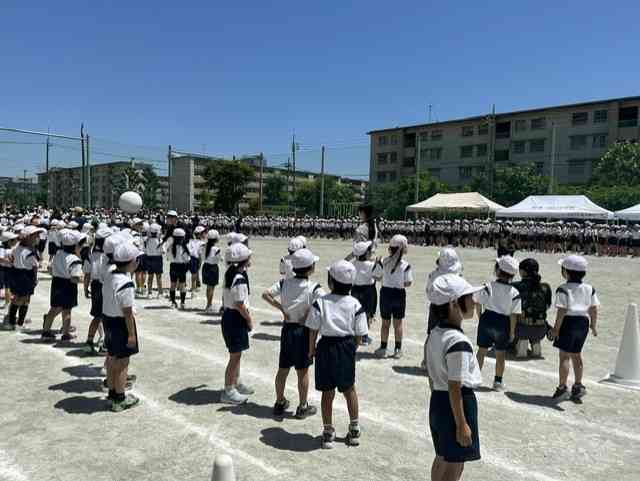 12ff21ad-f21a-443a-8ae7-35d9206cb8f8