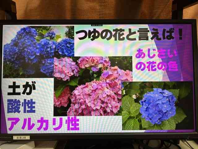 b2399a23-ba47-4f5f-997b-51238d946bf7