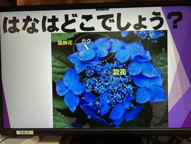 2a4fd3c3-2635-4ddc-a5b5-1f9b2e794d0c